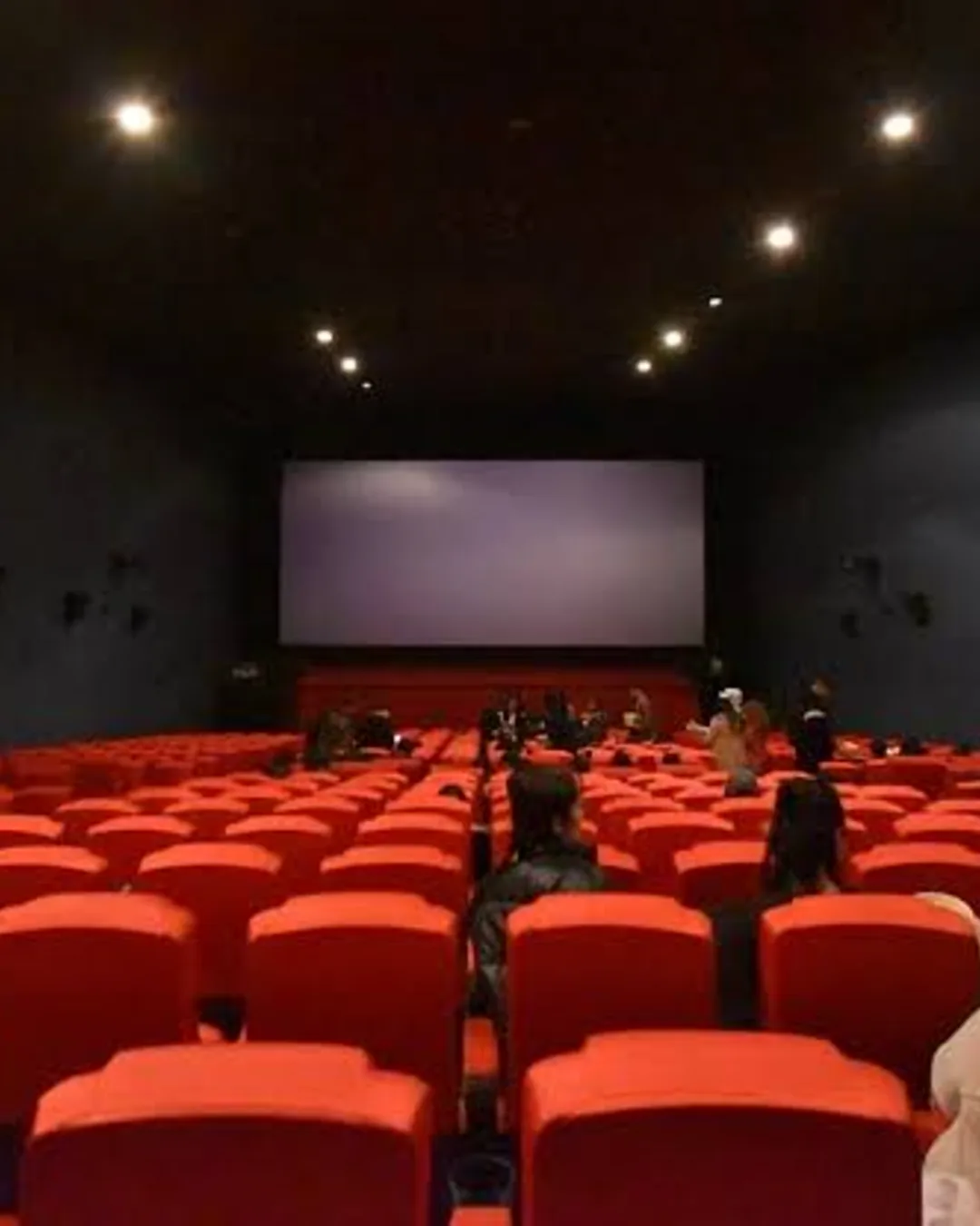 Cinema hall with red seats